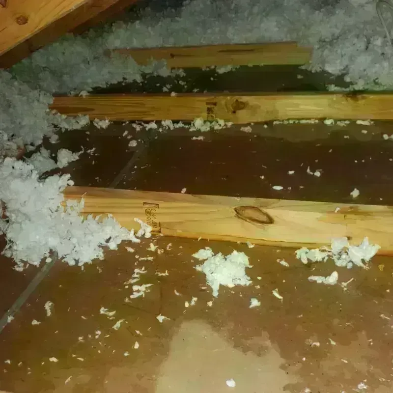 Attic Water Damage in Mariposa, CA