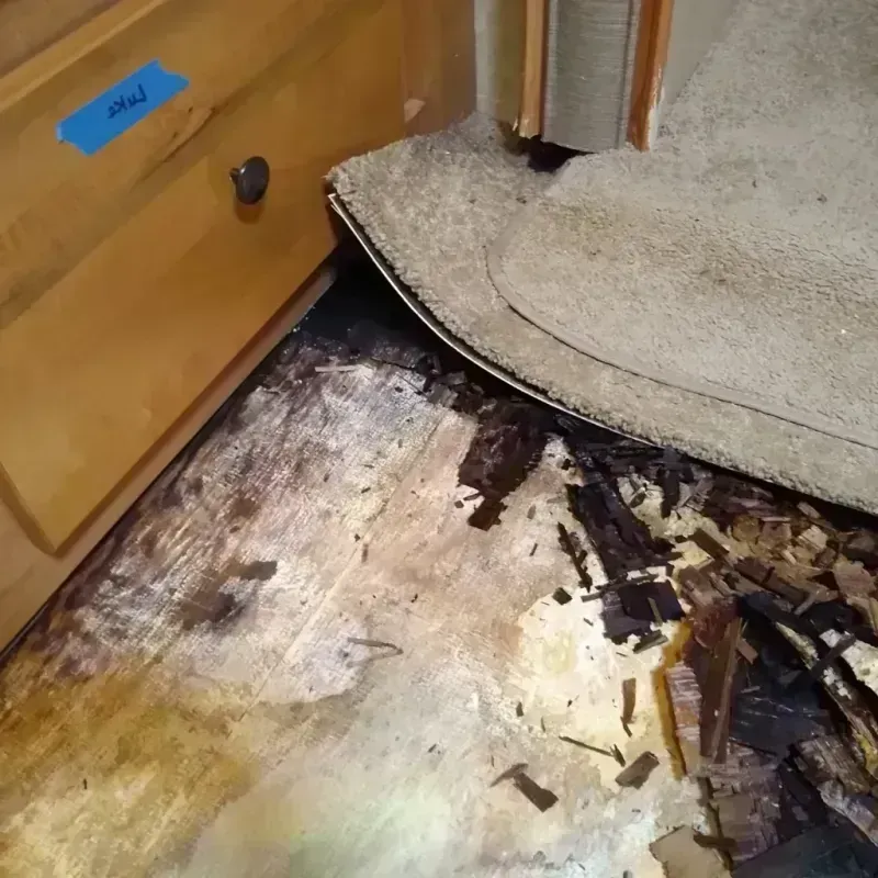 Wood Floor Water Damage in Mariposa, CA